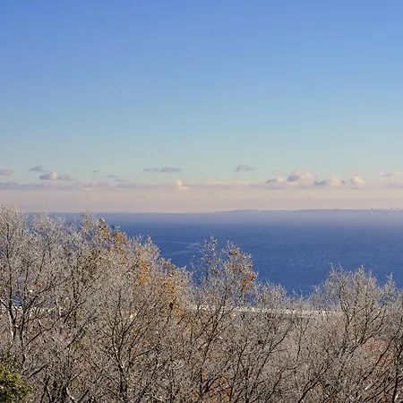 Apartamento Seerobbe A-6 2, Mit Meerblick *